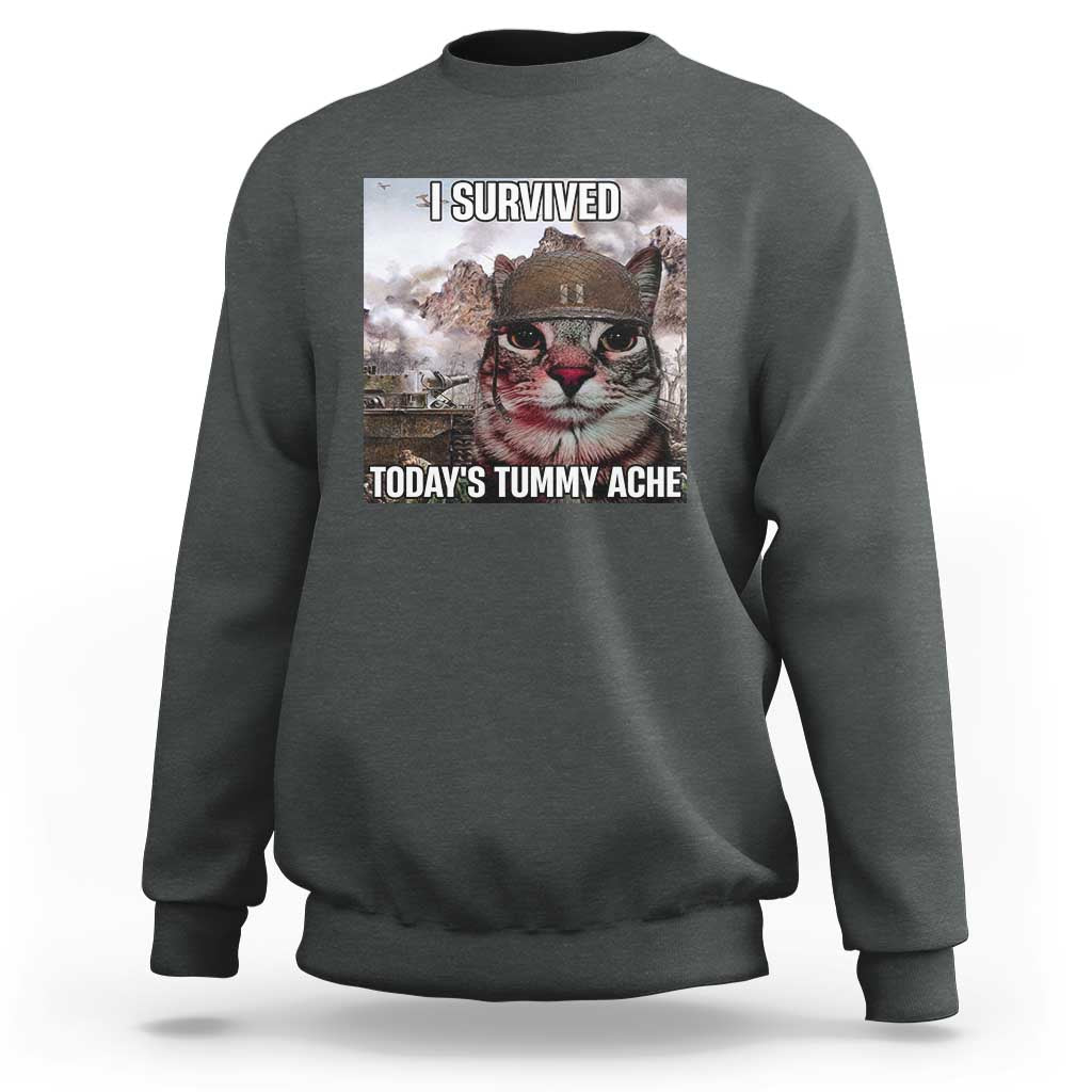Funny I Survived Todays Tummy Ache Sweatshirt War Cat Meme - Wonder Print Shop