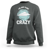Charcoal crewneck sweatshirt with front plane graphic and 'CRAZY' text, long sleeves
