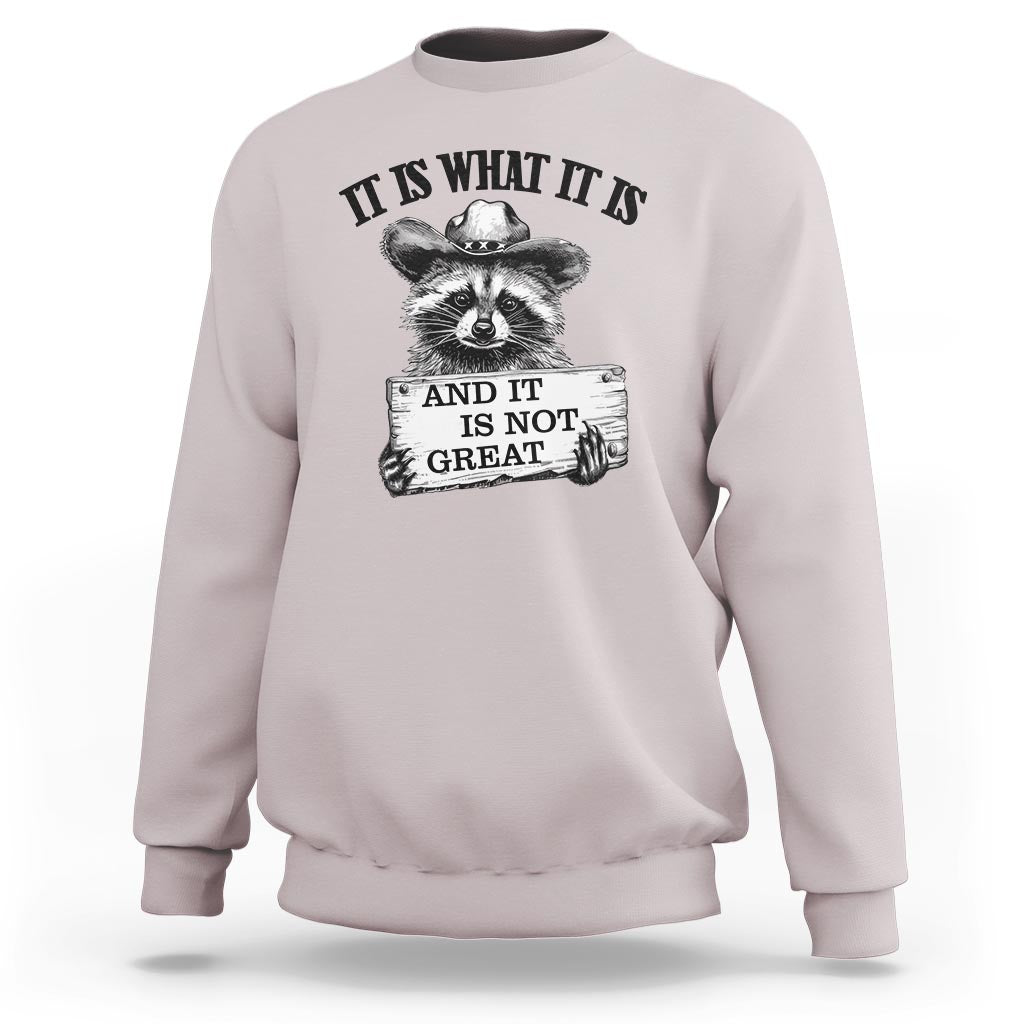 Light pink raccoon sweatshirt with black quote text and raccoon hand graphic