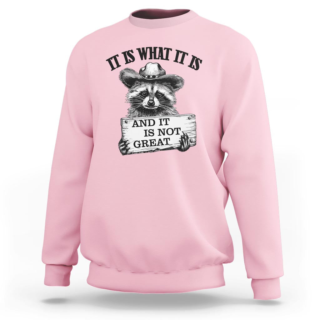 Pink raccoon sweatshirt with raccoon graphic and black quote text print