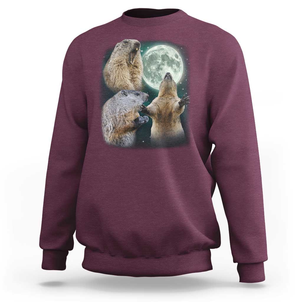 Funny Three Groundhog Moon Groundhog Day Meme Sweatshirt - Wonder Print Shop