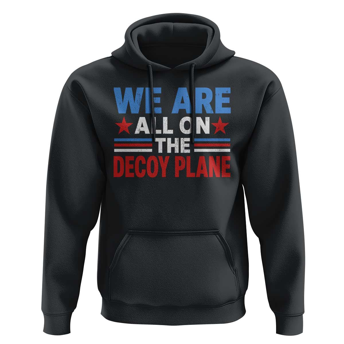 We Are All On The Decoy Plane Hoodie Plane Conspiracy Theory