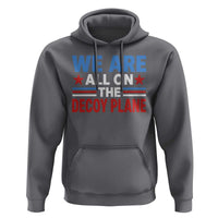We Are All On The Decoy Plane Hoodie Plane Conspiracy Theory