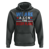 We Are All On The Decoy Plane Hoodie Plane Conspiracy Theory