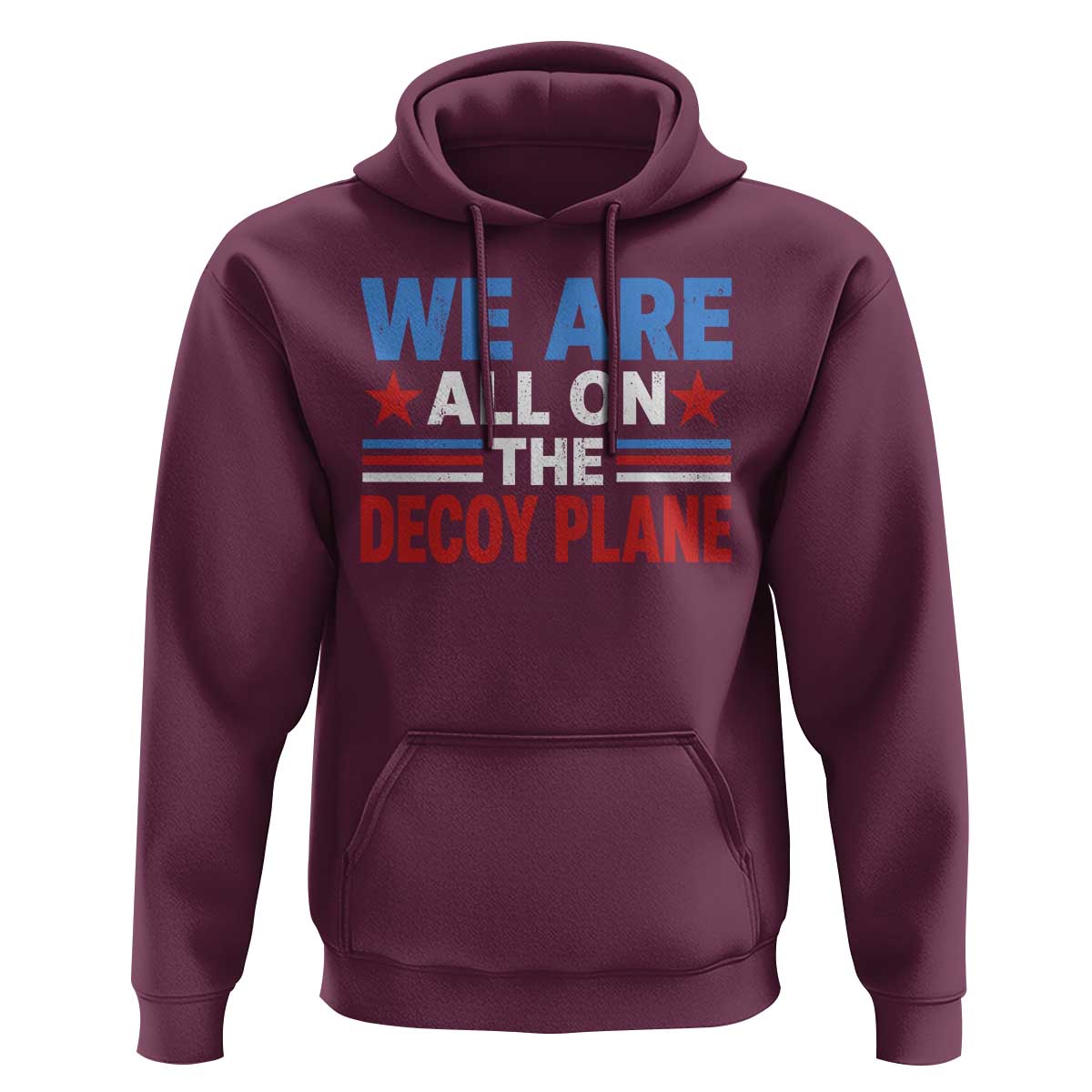 We Are All On The Decoy Plane Hoodie Plane Conspiracy Theory