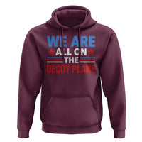We Are All On The Decoy Plane Hoodie Plane Conspiracy Theory