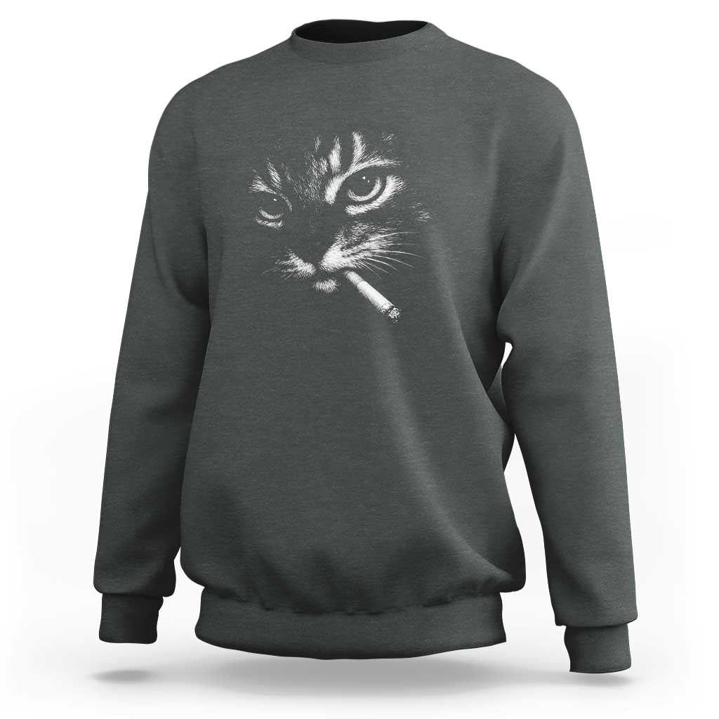 Funny Cat Smoking Cigarette Meme Sweatshirt Cat Face Y2K Graphic