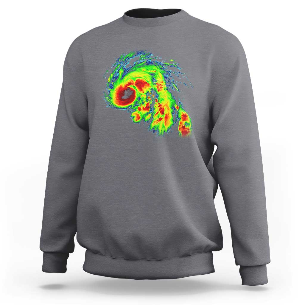 Dark heather gray crewneck sweatshirt with large colorful storm radar graphic on the back