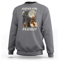 Heather gray sweatshirt with front graphic of squirrels and “JUSTICE FOR PEANUT” text