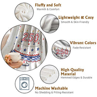 USA 250th Anniversary Birthday Cake Party Gift Throw Blanket