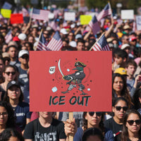 Funny Pirate Common Loon Minnesota Defends Abolish Ice Protest Sign