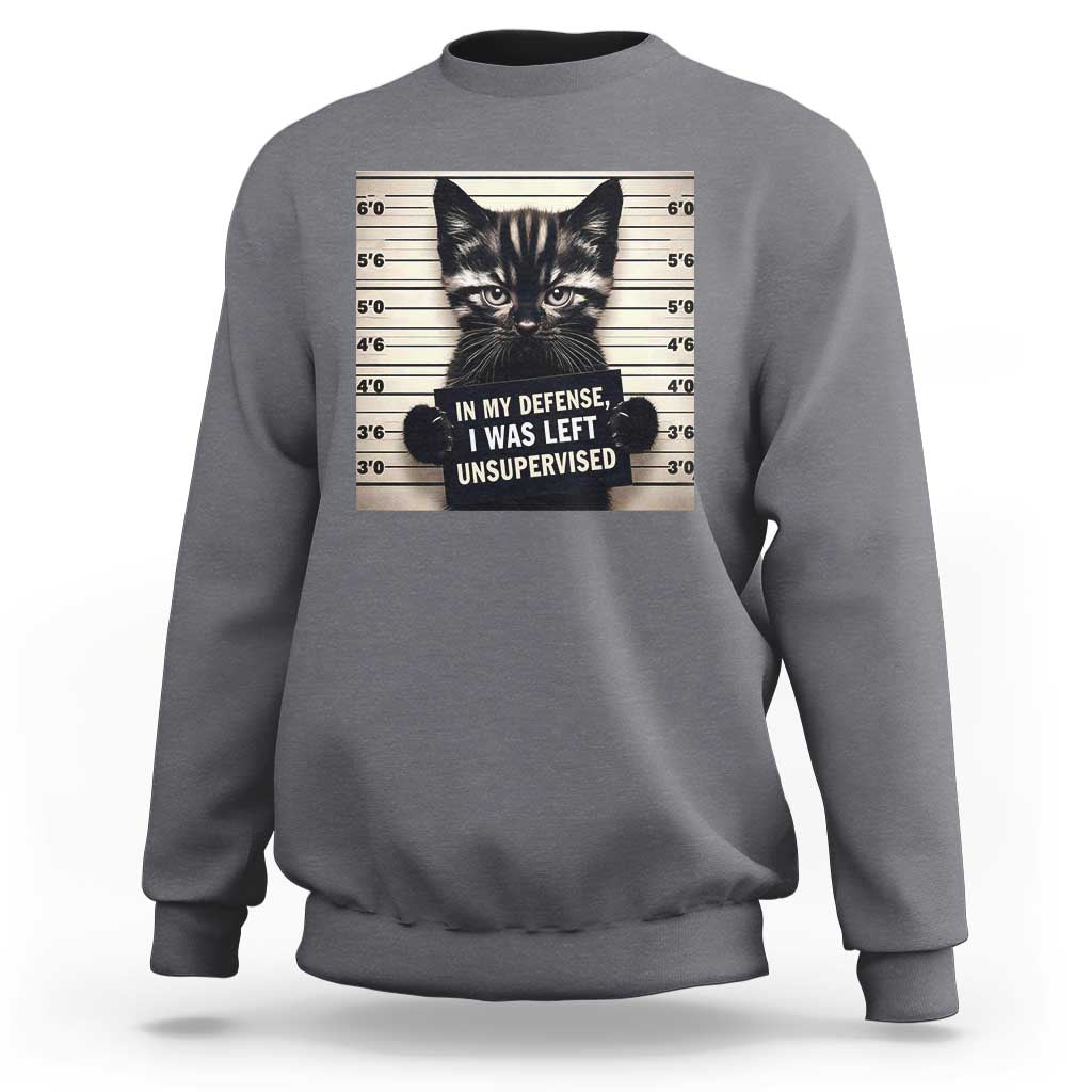 Funny Bad Cat Attitude Sweatshirt In My Defense I Was Left Unsupervised