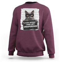 Funny Cat Mugshot Sweatshirt In My Defense I Was Left Unsupervised