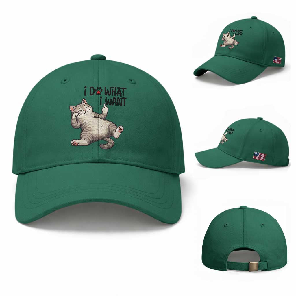 Cat Lover Baseball Cap Funny I Do What I Want
