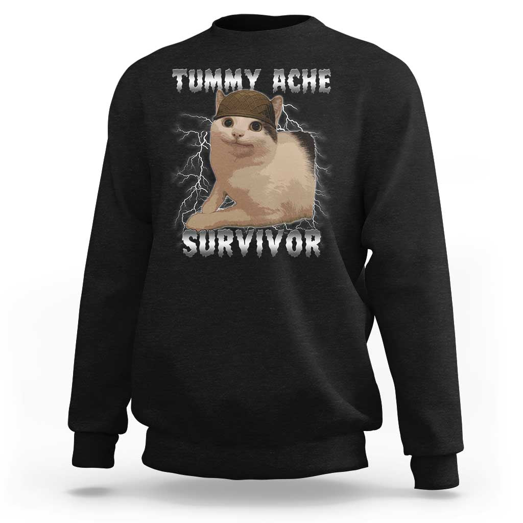 Tummy Ache Survivor Sweatshirt Cat Meme Humor Gift - Wonder Print Shop
