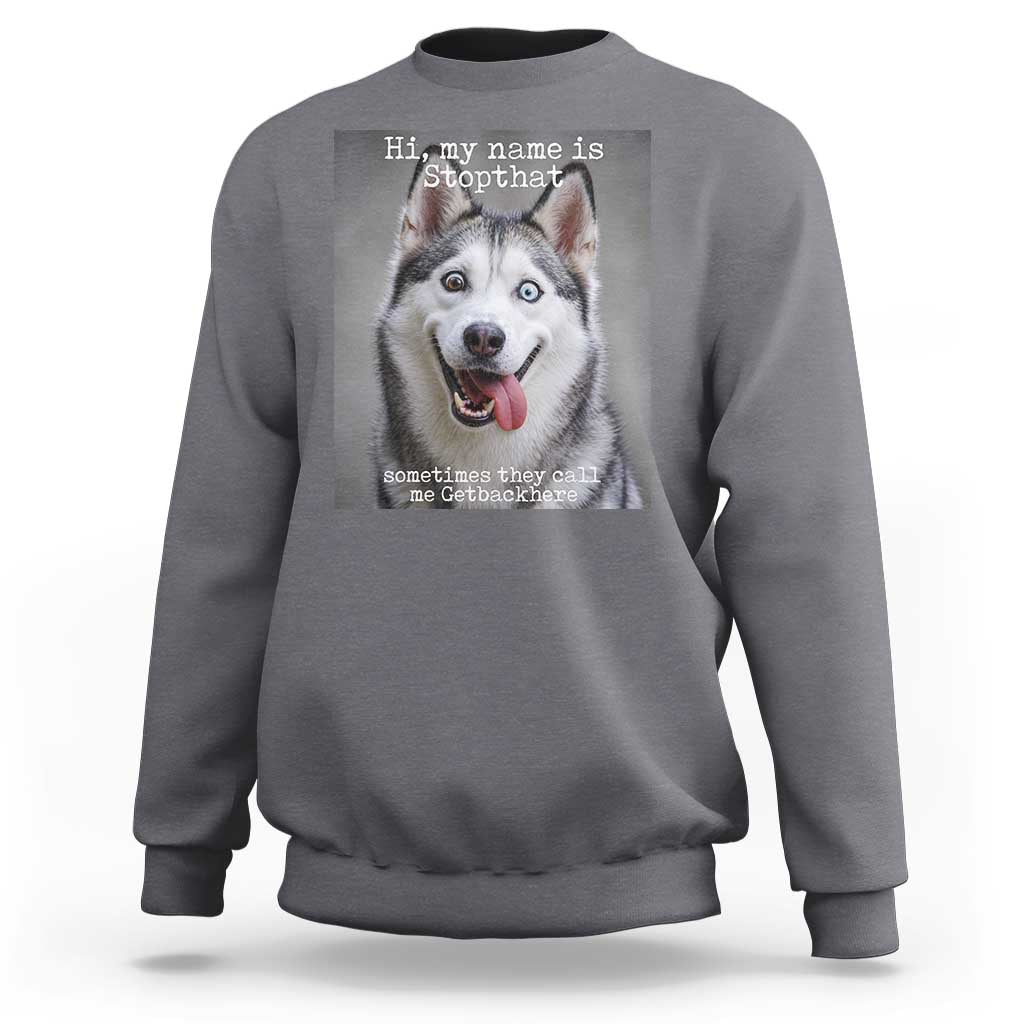 Funny Siberian Husky Meme Sweatshirt My Name Is Stop That