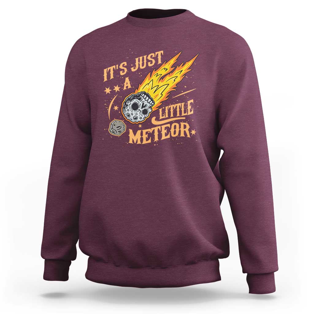 Funny Skull Meteorite Sweatshirt Just A Little Meteor