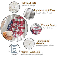 USA 250th Anniversary Baseball Throw Blanket Patriotic Athlete Gift
