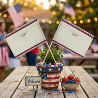 American Flag Bikini Patriotic Handheld Flag USA Summer Vacation Gift