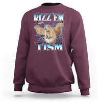 Autism Capybara Sweatshirt Funny Rizz Em With The Tism - Wonder Print Shop