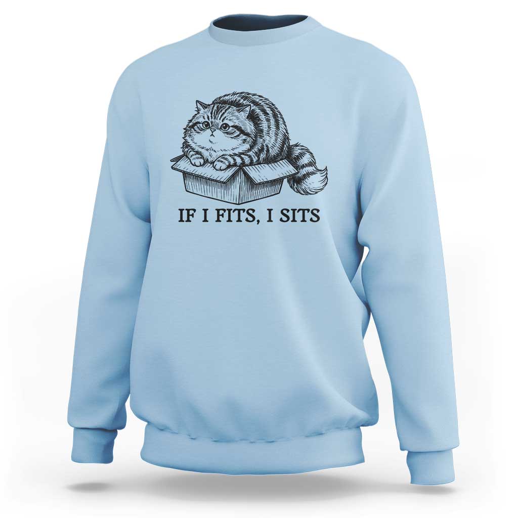 If I Fits I Sits Sweatshirt Chubby Kitty Funny Cat Lover Gift