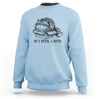 If I Fits I Sits Sweatshirt Chubby Kitty Funny Cat Lover Gift