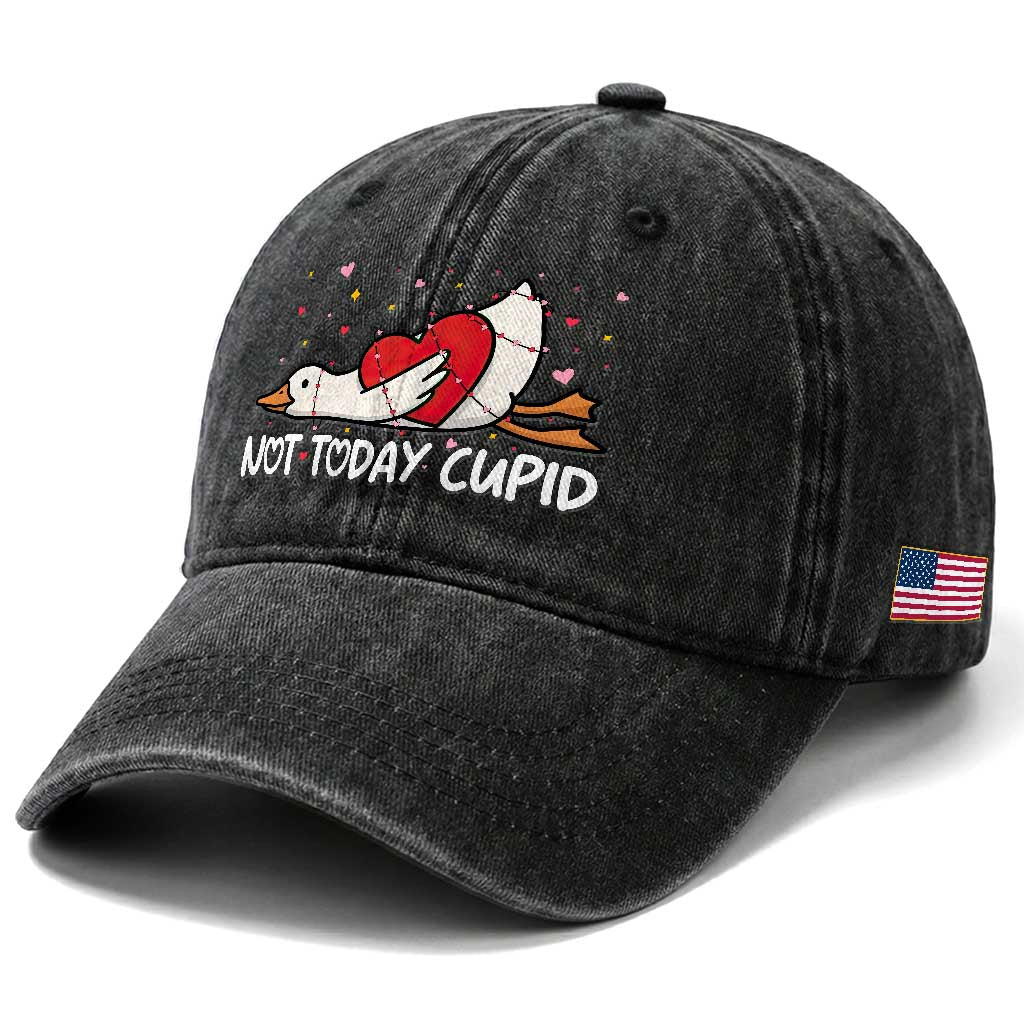 Silly Goose Valentine Washed Cotton Baseball Cap Not Today Cupid