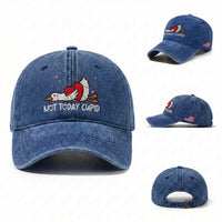 Silly Goose Valentine Washed Cotton Baseball Cap Not Today Cupid
