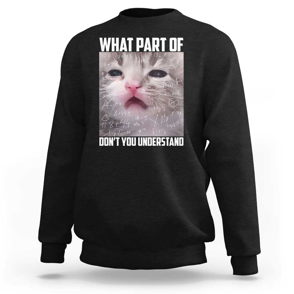 Funny Math Cat Lover Sweatshirt What Part Of Do Not You Understand - Wonder Print Shop