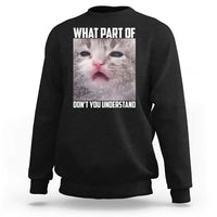 Funny Math Cat Lover Sweatshirt What Part Of Do Not You Understand - Wonder Print Shop