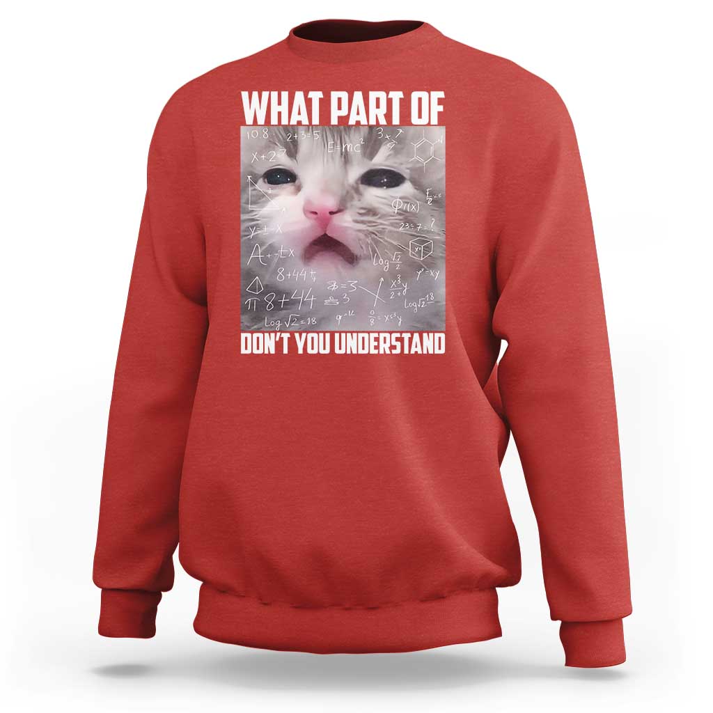 Funny Math Cat Lover Sweatshirt What Part Of Do Not You Understand - Wonder Print Shop