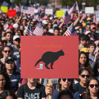 No Ice Please Protest Sign Funny Cat Abolish ICE Meme