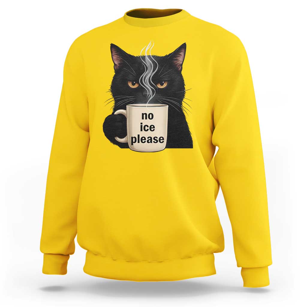 No Ice Please Sweatshirt Funny Black Cat Anti ICE Meme