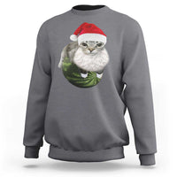 Watermelon Cat Christmas Sweatshirt Funny Silly Kitten Meme - Wonder Print Shop