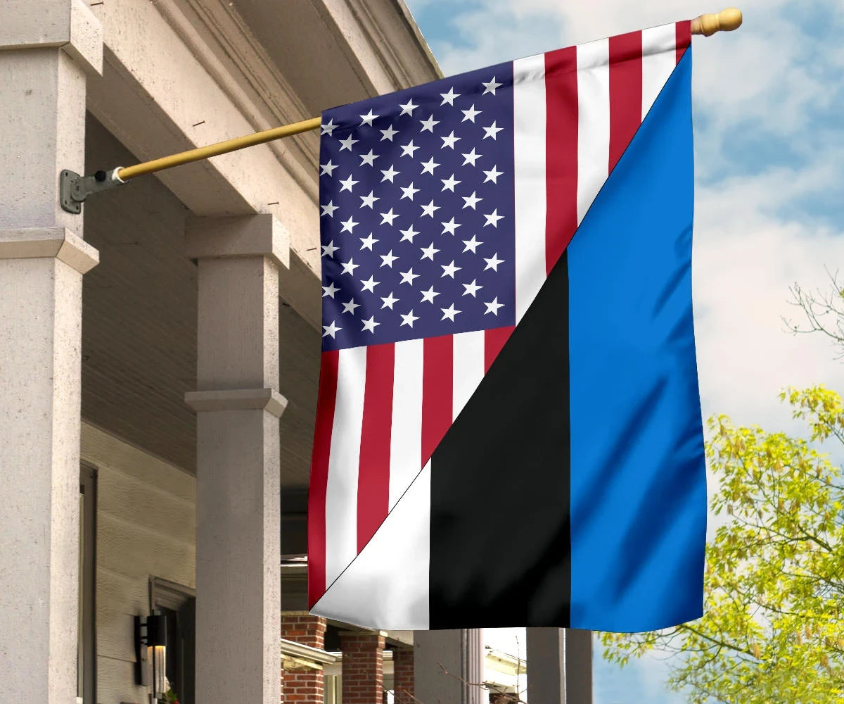 US Flag with Estonia Flag RLT12 - Wonder Print Shop