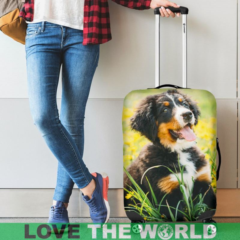 Bernese mountain dog on black luggage cover, yellow blooms and green blades of grass