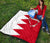 bahrain-premium-quilt-flag-style