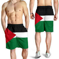 Palestine flag shorts on model, elastic waistband and black-red-white-green print