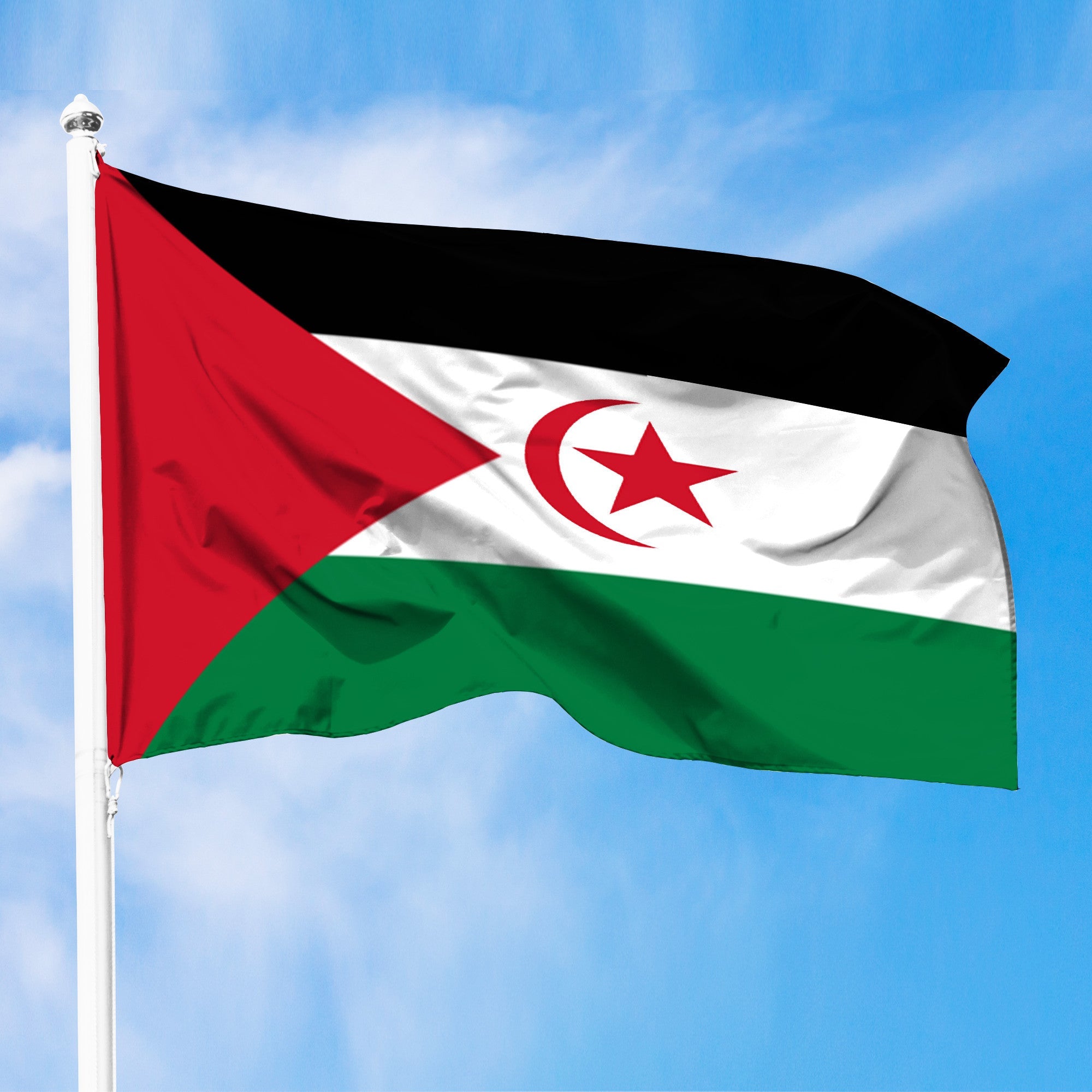 Wonder Print Shop Flag - Western Sahara Flag RLT8 - Wonder Print Shop