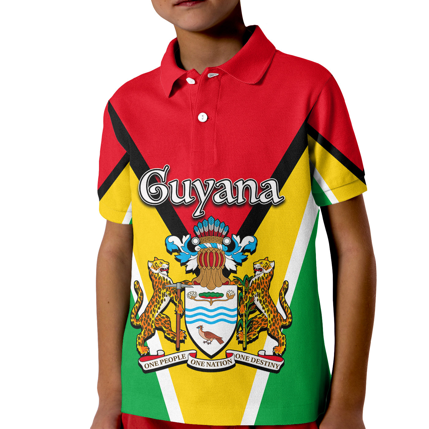 Guyana Polo Shirt KID Flag Style LT6 - Wonder Print Shop