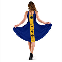 Back view: sleeveless blue dress with yellow vertical panel and black trident motifs